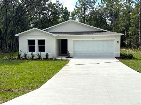Photo of 81 Fisher Lane Court, Ocklawaha, FL 32179 (MLS # C7510024)