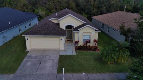 A home in WESLEY CHAPEL