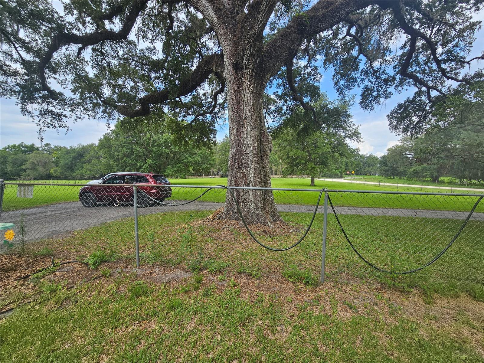 31110 HARTMAN ROAD
