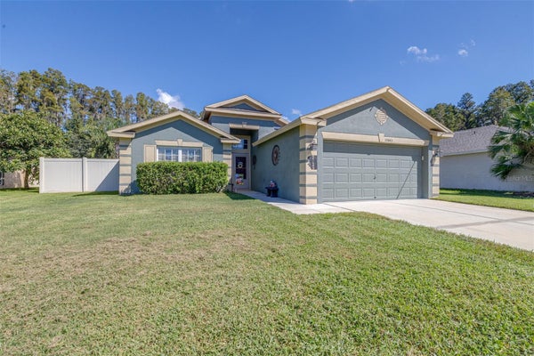30843 LUHMAN CT, WESLEY CHAPEL, FL 33543 - Image 94032d6bc5cc92a6d97c3e514ca46ebb/1931615598