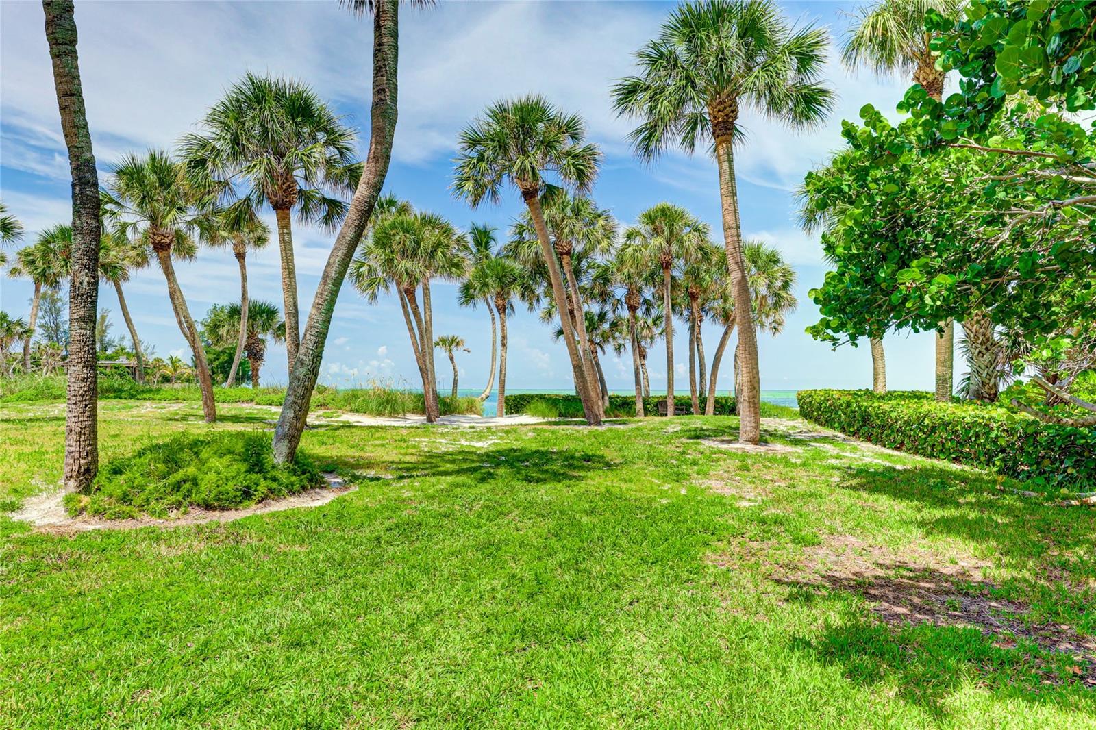 SANDY COVE - Residential Lease