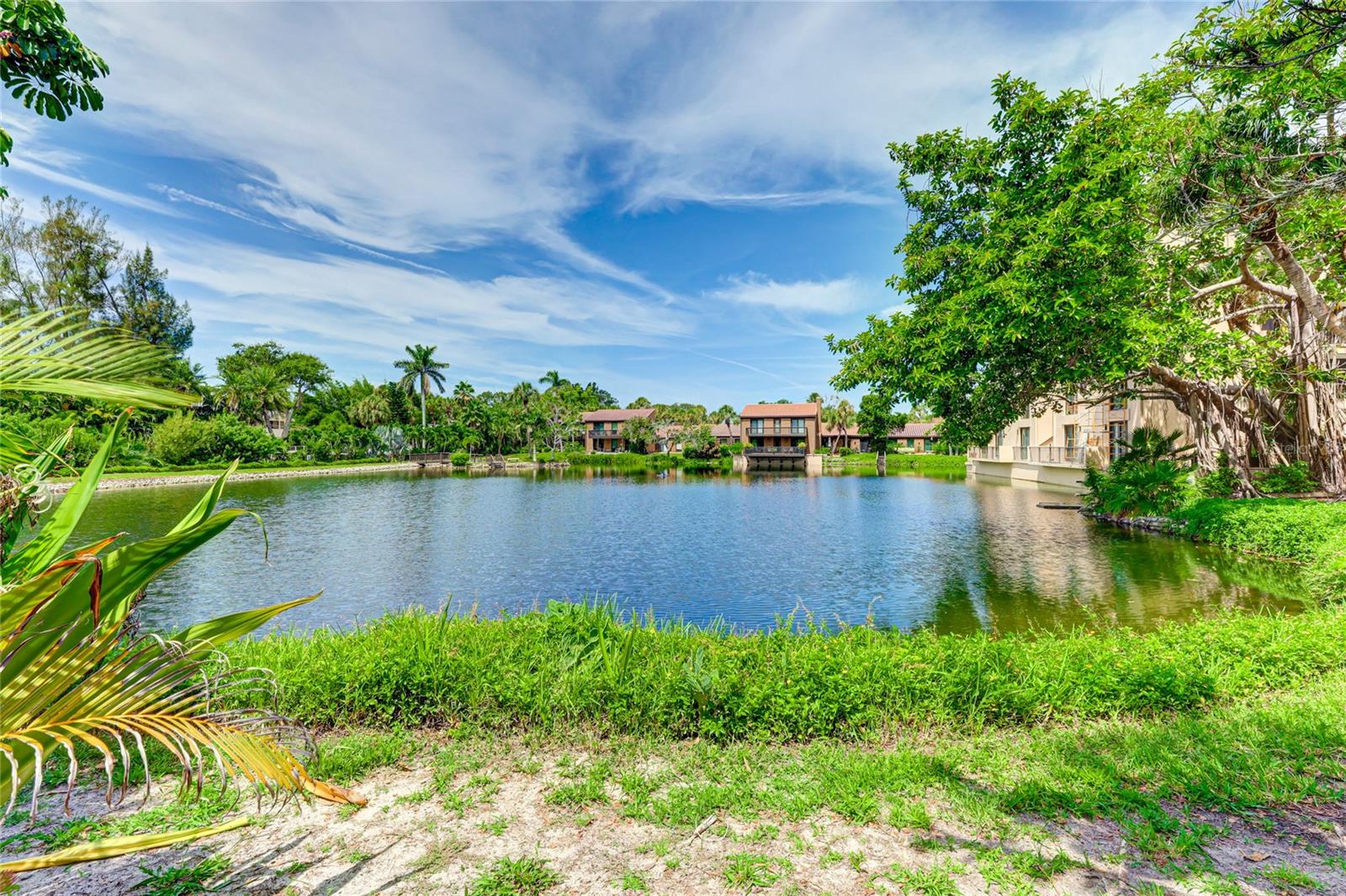 SANDY COVE - Residential Lease