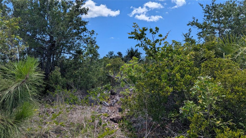 Photo of 13493 Abutilon Lane, Port Charlotte, FL 33981 (MLS # D6142349)