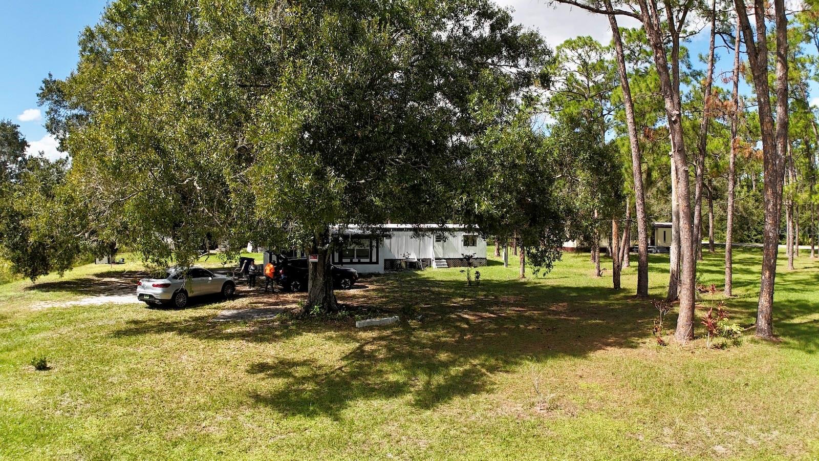 9 PALM HAVEN DRIVE
