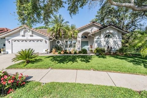 1119 HOUNDS RUN SAFETY HARBOR FL 34695