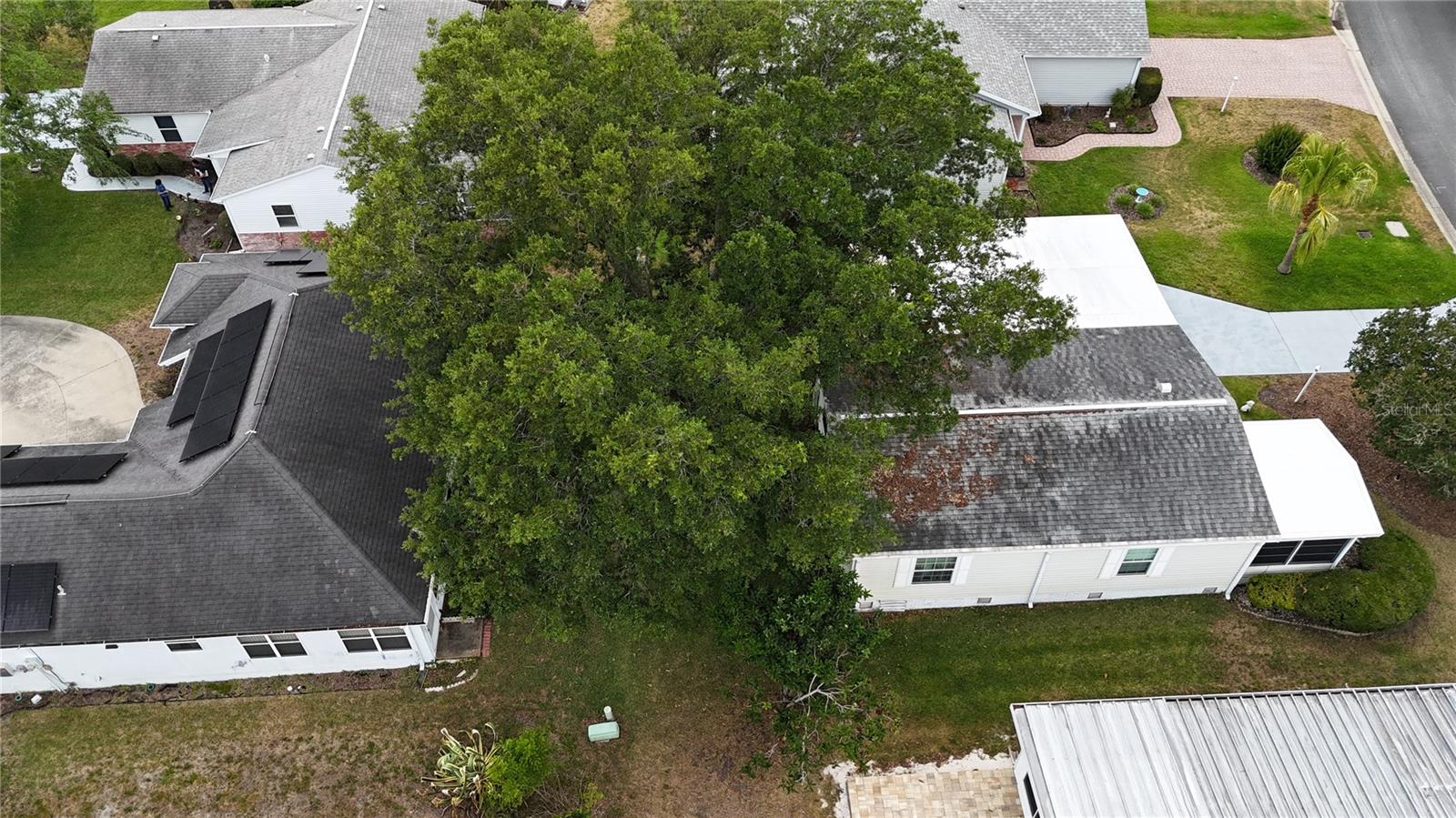 ORANGE BLOSSOM GARDENS - Residential