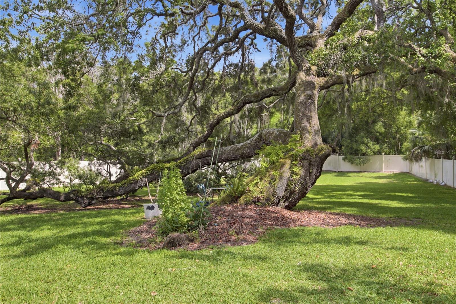 HANOVER WOODS - Residential