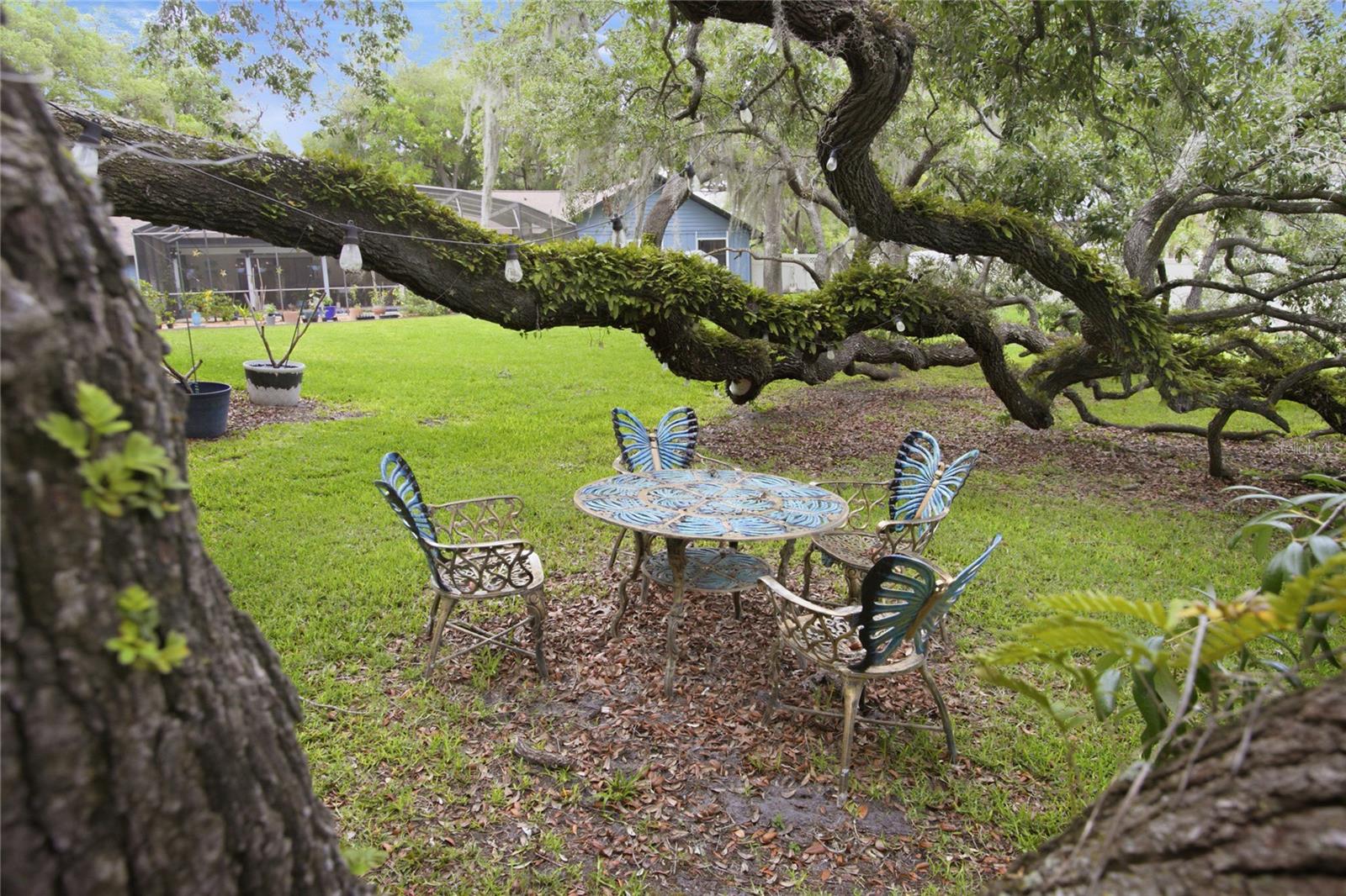 HANOVER WOODS - Residential
