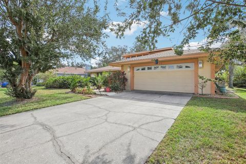 A home in LAND O LAKES