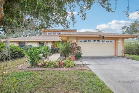 A home in LAND O LAKES