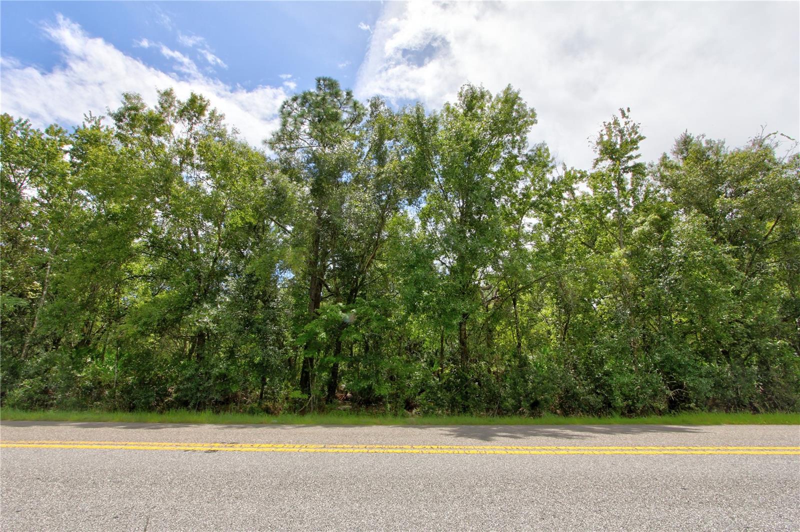 Homesite almost an acre less than 16 miles from Orlando International Airport.
