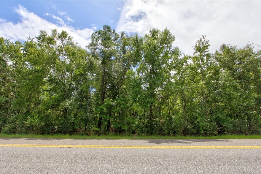 Homesite almost an acre less than 16 miles from Orlando International Airport.