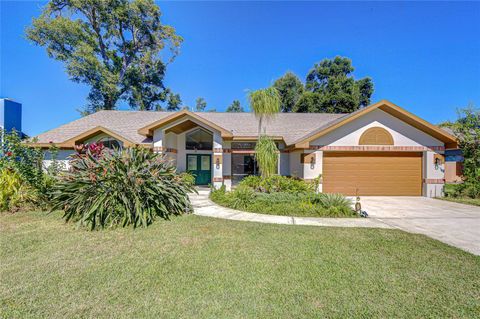 3816 BUCKINGHAM LOOP DRIVE VALRICO FL 33594