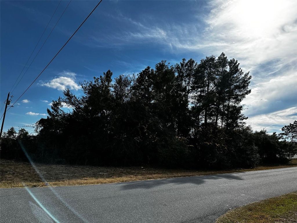 Photo of 0 SW 31st Cir, Ocala, FL 34473 (MLS # TB8458610)