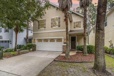 A home in ORANGE PARK