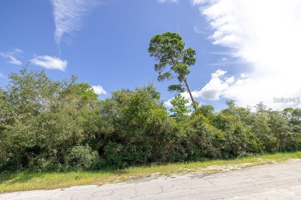 Photo of 2361 Laredo Drive, Deltona, FL 32738 (MLS # O6375673)