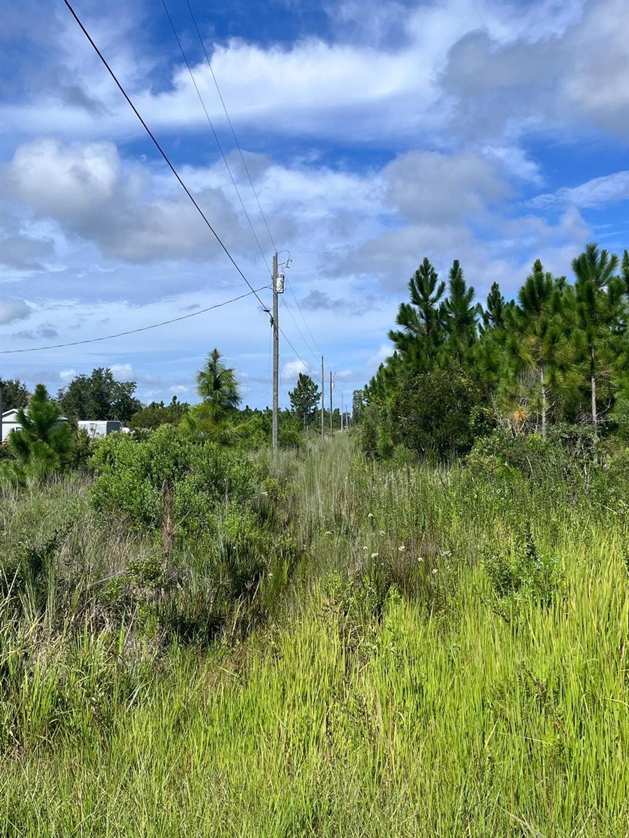 INDIAN LAKE ESTATES - Land