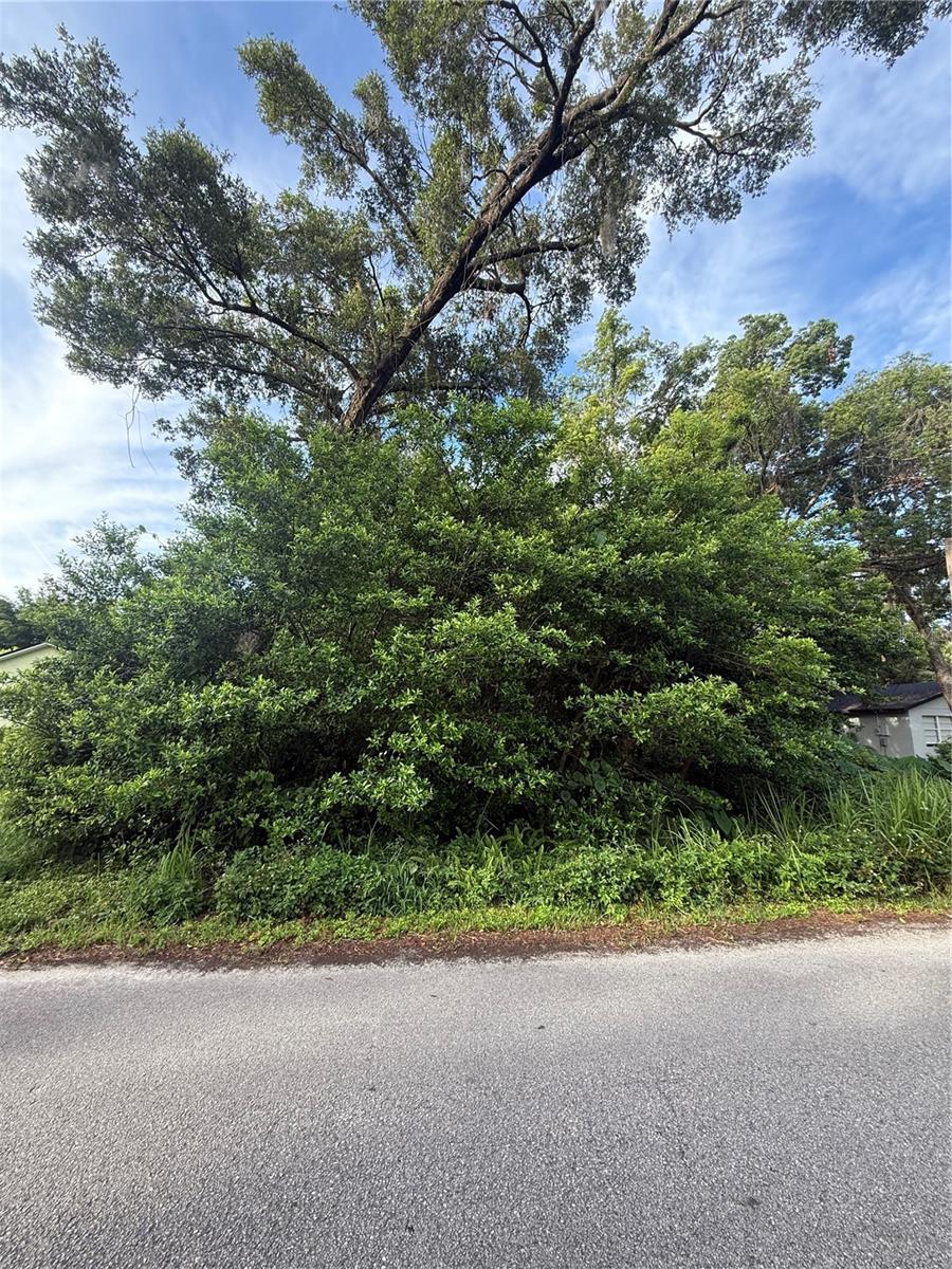 Build Your Dream Home in Orange City! This .22-acre buildable lot offers the perfect opportunity to create the home you’ve always envisioned. Nestled in a quiet, established neighborhood, this property is just minutes from dining, shopping, and everyday conveniences. Whether you're looking to build your first home, a vacation retreat, or an investment property, this lot provides a fantastic canvas. Don’t miss this chance to secure a prime piece of land in a growing Central Florida community!
