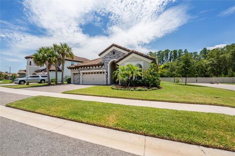 A home in LAND O LAKES