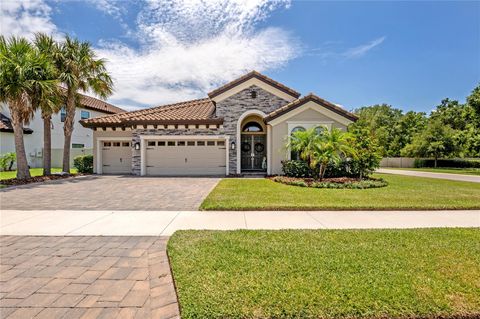 A home in LAND O LAKES