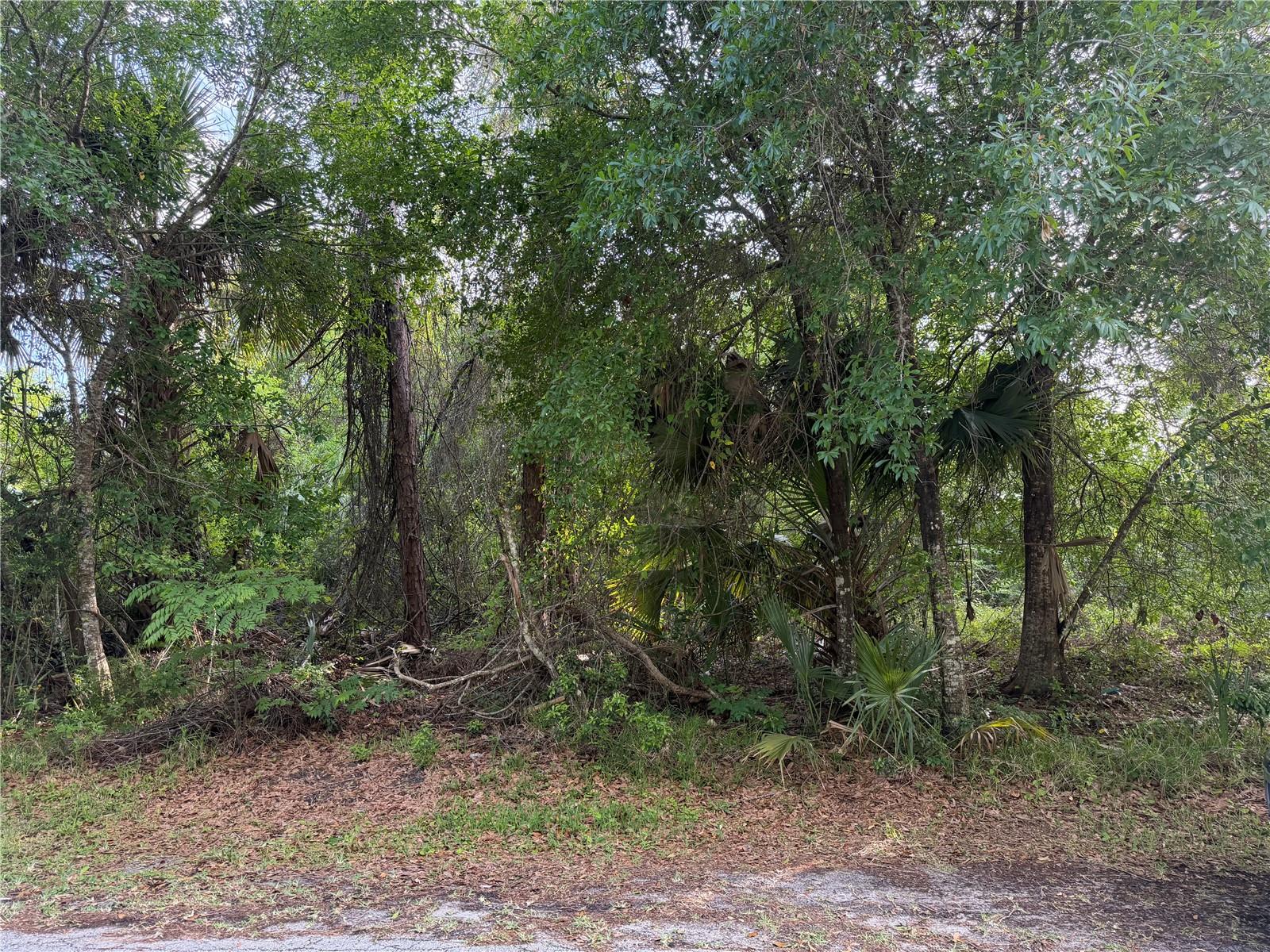 PALM COAST SECTION 25 - Land