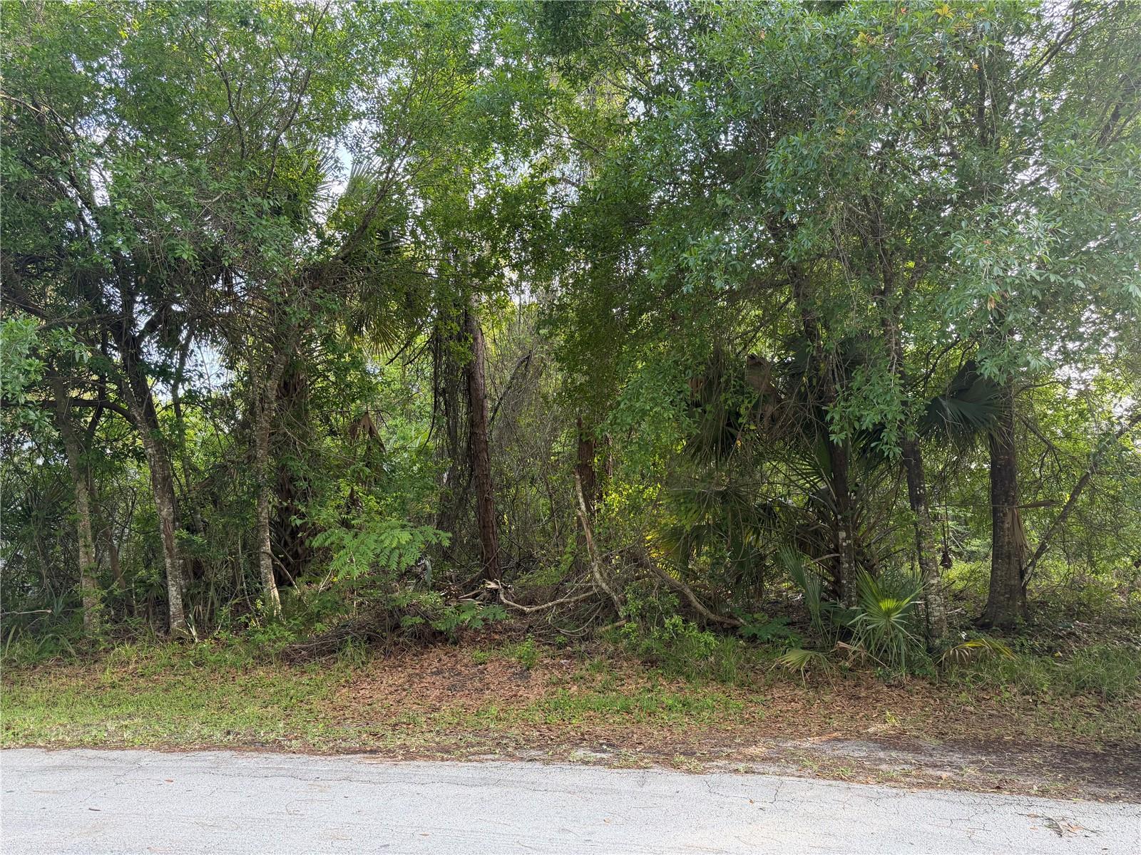 PALM COAST SECTION 25 - Land