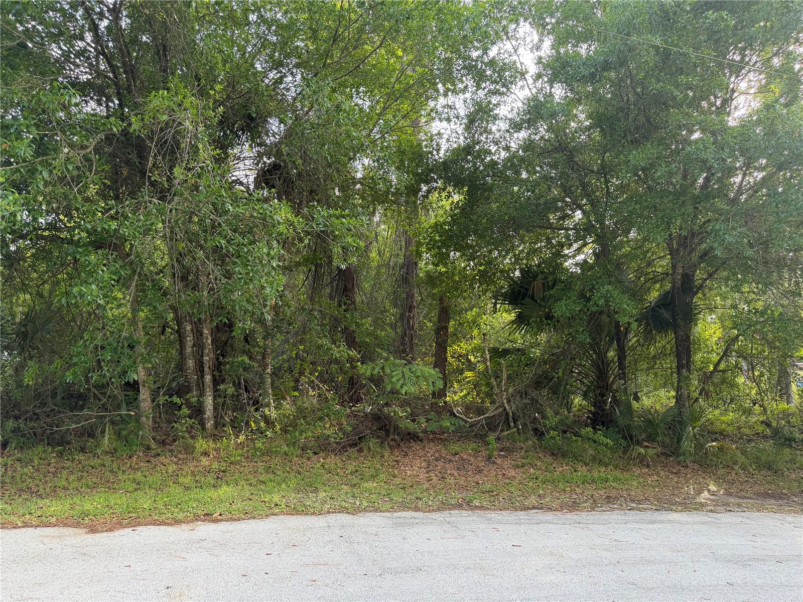 PALM COAST SECTION 25 - Land