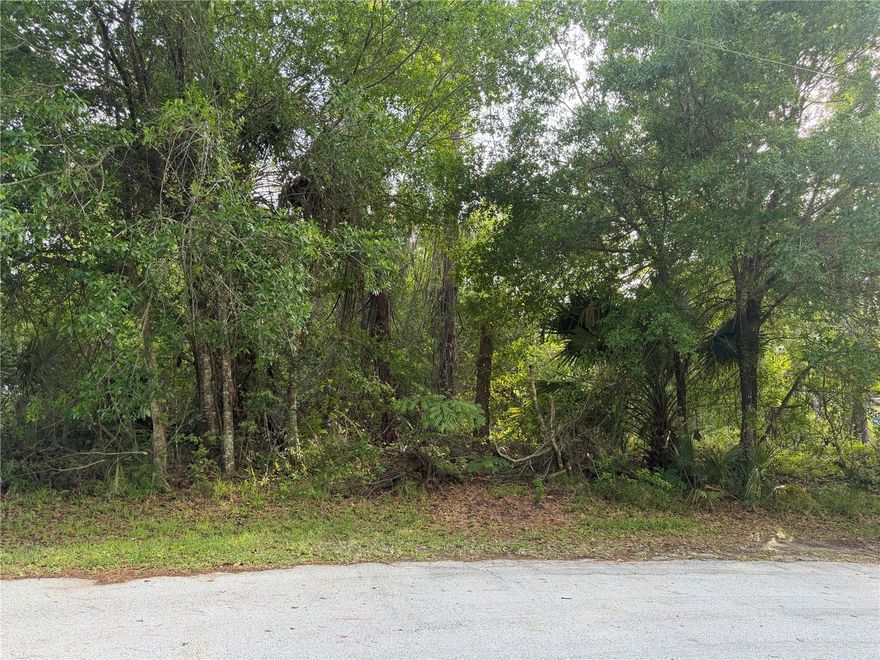 Don’t miss this rare opportunity to own a premium, dry lot tucked away on a quiet cul-de-sac in one of the area’s most established and highly desirable neighborhoods. This is the ideal setting to bring your dream home to life.
Perfectly positioned for peace of mind, the property offers a solid, well-suited foundation for construction with added confidence regarding drainage and flooding concerns. Surrounded by beautifully maintained homes, the setting reflects pride of ownership and long-term neighborhood stability.
Enjoy the best of both worlds—privacy and convenience. You’re just minutes from schools, shopping, dining, and major roadways, making everyday life effortless while still enjoying a quiet residential atmosphere.
Whether you're ready to build now or planning a strategic investment for the future, this lot represents a smart, high-value opportunity in a proven location. Properties like this are increasingly rare—secure your place in a community that continues to hold strong value and demand.