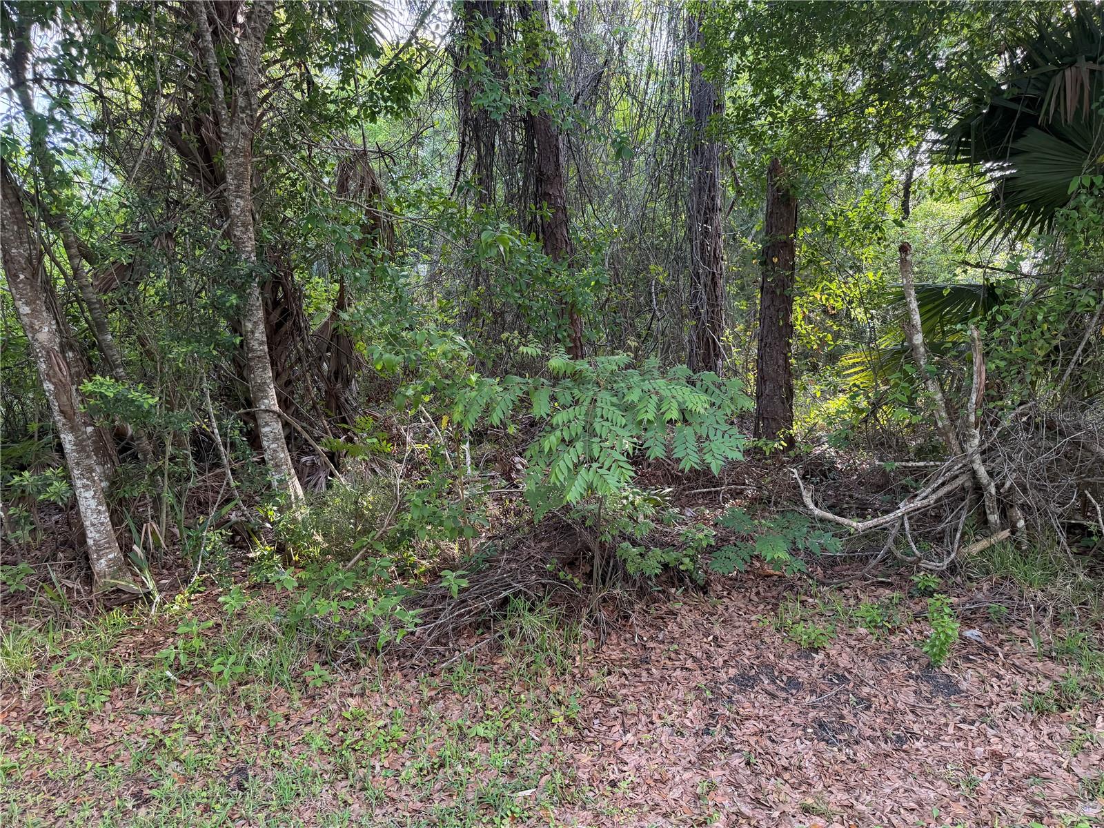 PALM COAST SECTION 25 - Land