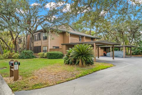 A home in PALM HARBOR