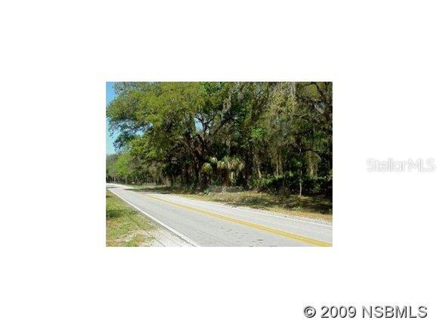 Buildable land with a canopy of oaks. 20 Acres completely fenced with four gates! Located in a prestigious neighborhood, close to golf, shopping, and the hospital. Close to the New Smyrna Municipal Airport (but not too close). 12 minutes to the beach and I-95. Could be used for a family compound or a corporate retreat. Very private and the beauty of the trees is breathtaking. Current survey and information can be found in attachment.; Cleared: Partial ;Water: Holding Tank