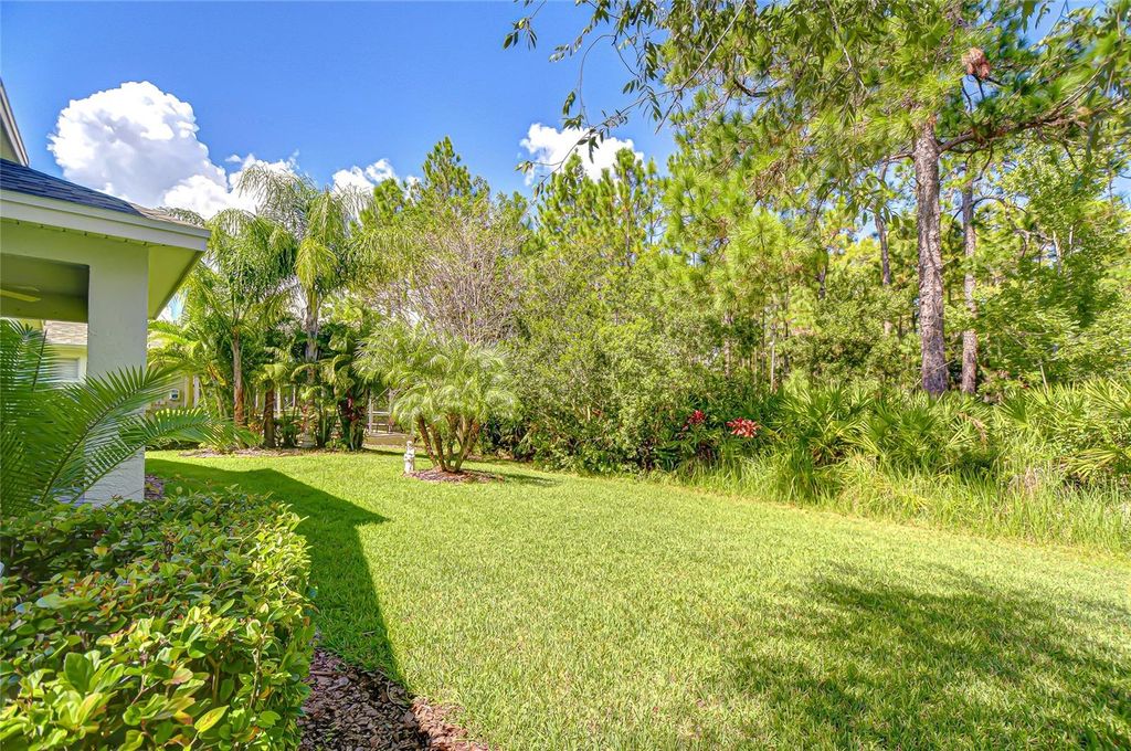 Photo of 20008 Heritage Point Drive, Tampa, FL 33647 (MLS # TB8431877)