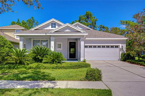Photo of 20008 Heritage Point Drive, Tampa, FL 33647 (MLS # TB8431877)