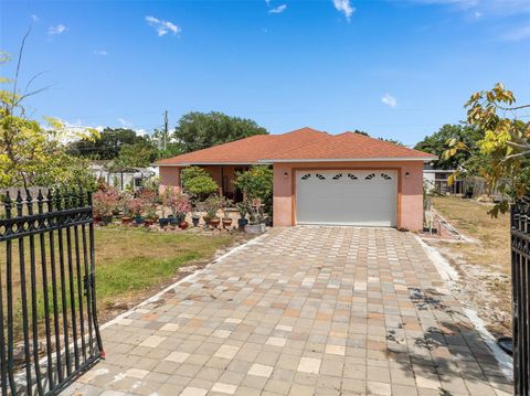 A home in MOUNT DORA