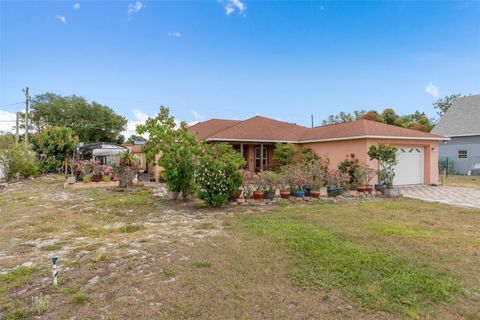 A home in MOUNT DORA