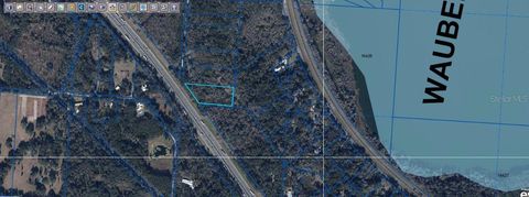 SE WACAHOOTA RD MICANOPY FL 32667