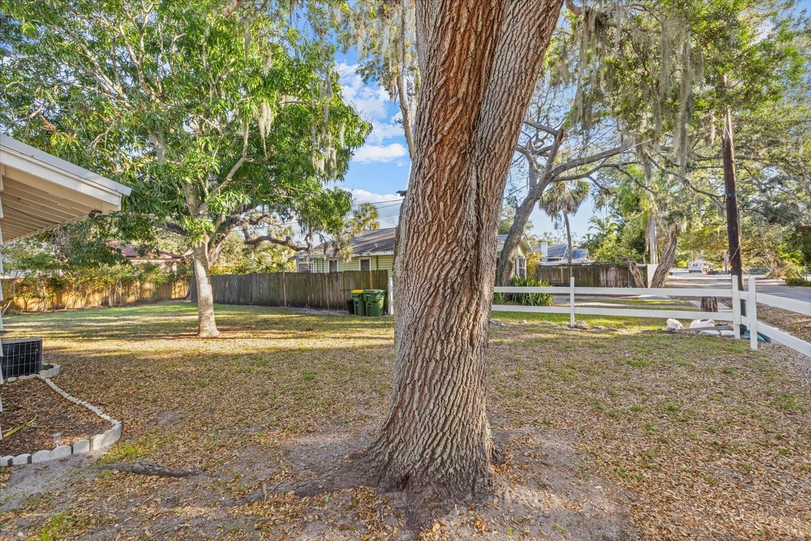 SARASOTA BAY PARK - Residential