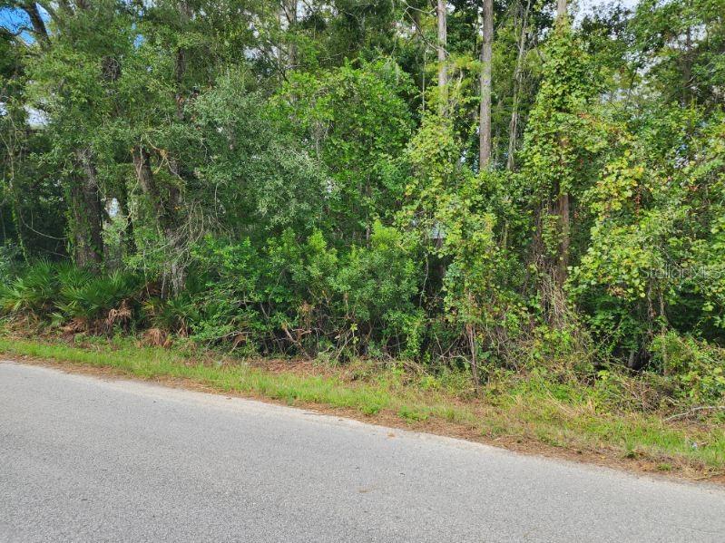 MOON LAKE ESTATES - Land