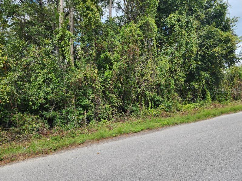 MOON LAKE ESTATES - Land