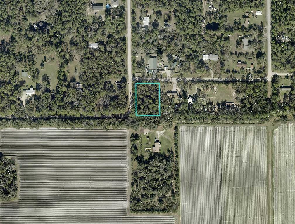 Photo of 5131 Pecan Avenue, Bunnell, FL 32110 (MLS # A4703881)