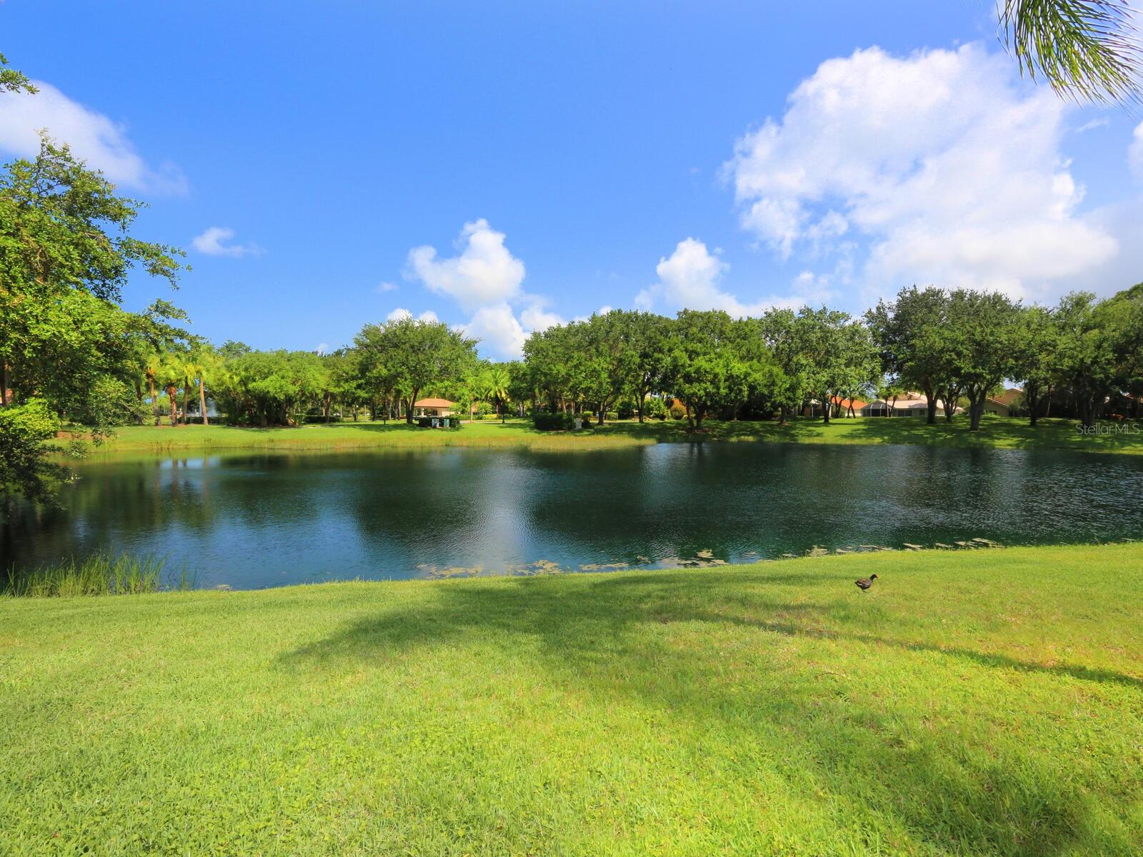 DEER CREEK - Residential