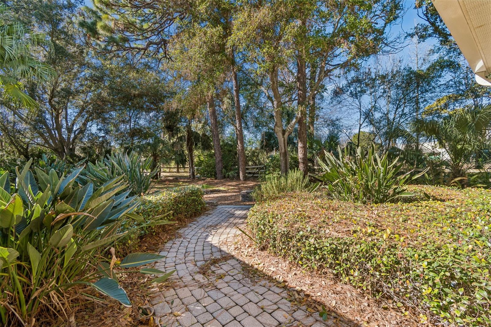 TAMPA & TARPON SPGS LAND CO - Residential