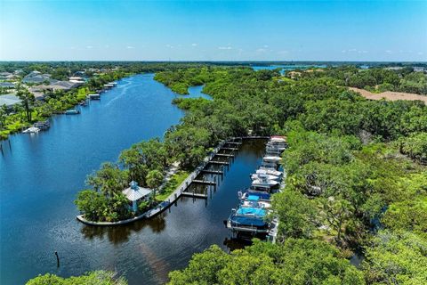 A home in BRADENTON