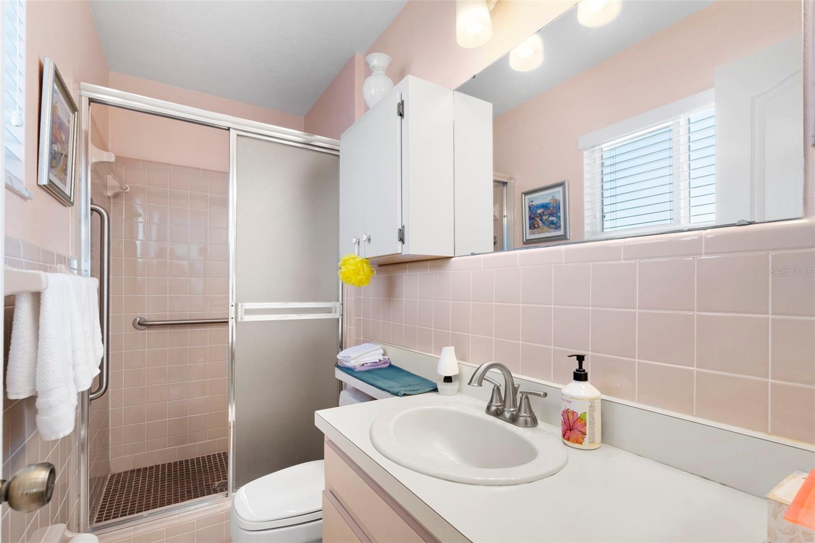 PALMETTO SKYWAY REP - Residential