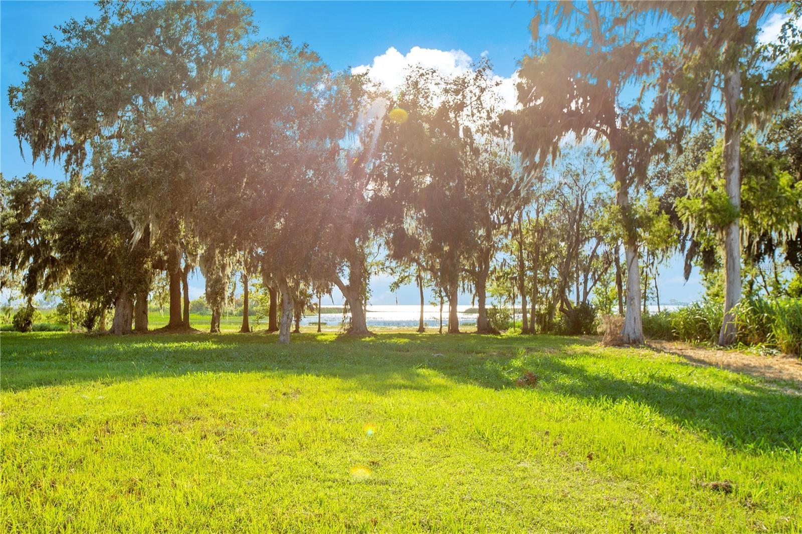 EAST LAKE RESERVE AT NARCOOSSEE UNIT 3 - Land