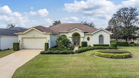 A home in DADE CITY