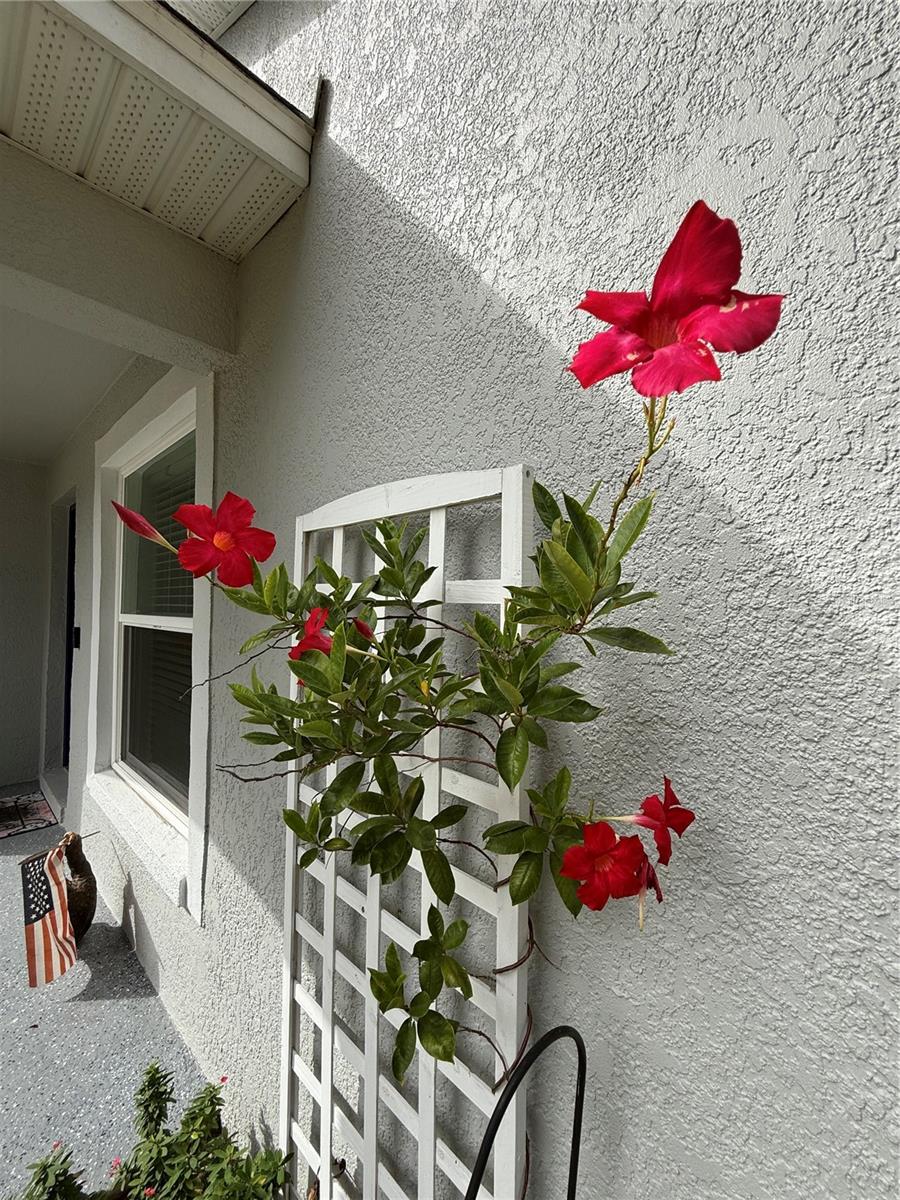 WILDWOOD PARK - Residential