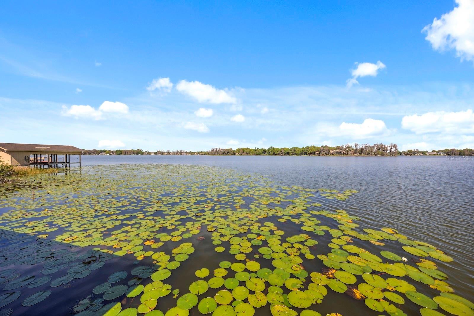 JESSAMINE BEACH REP - Residential