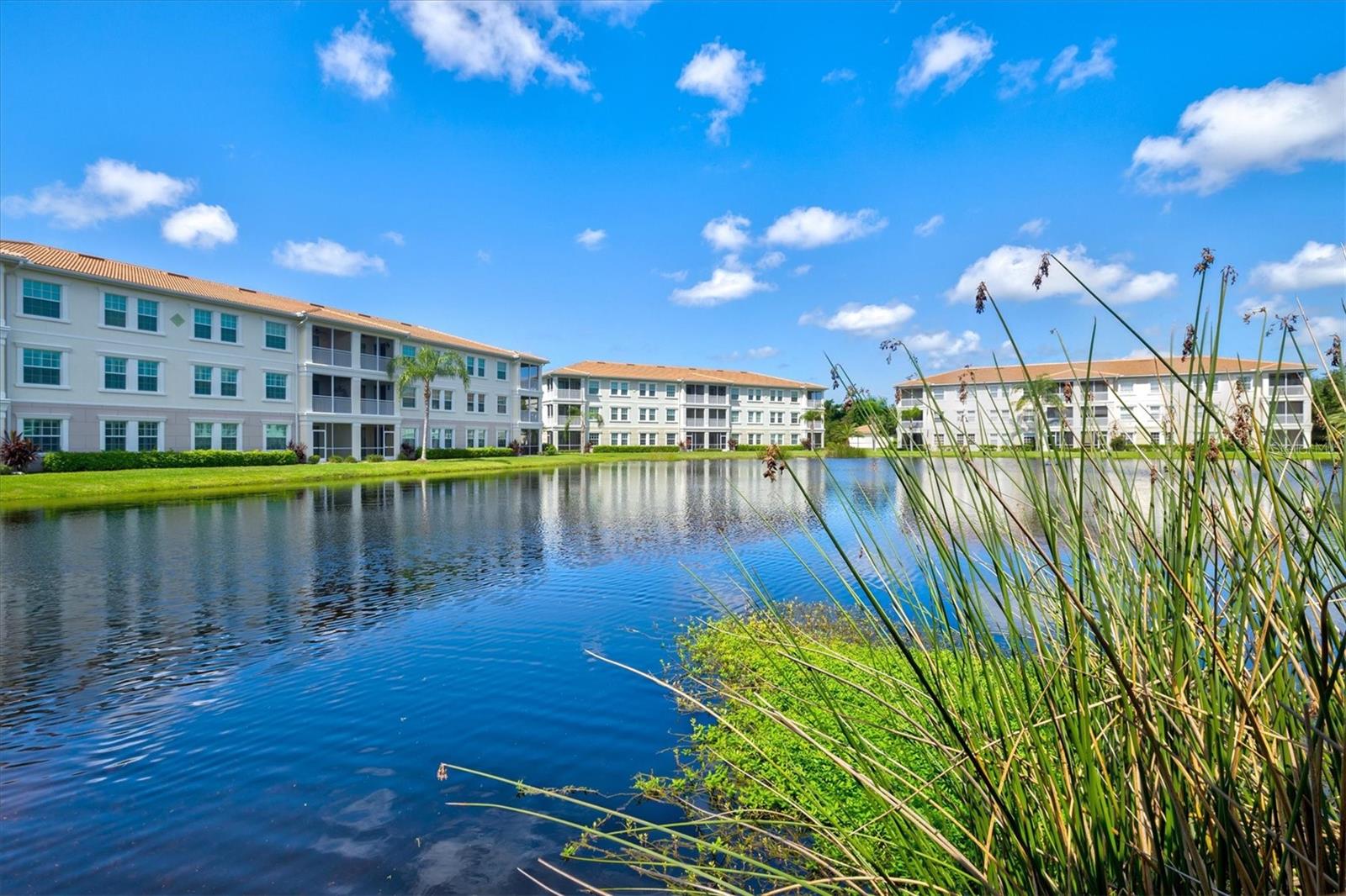 SAN LINO - Residential