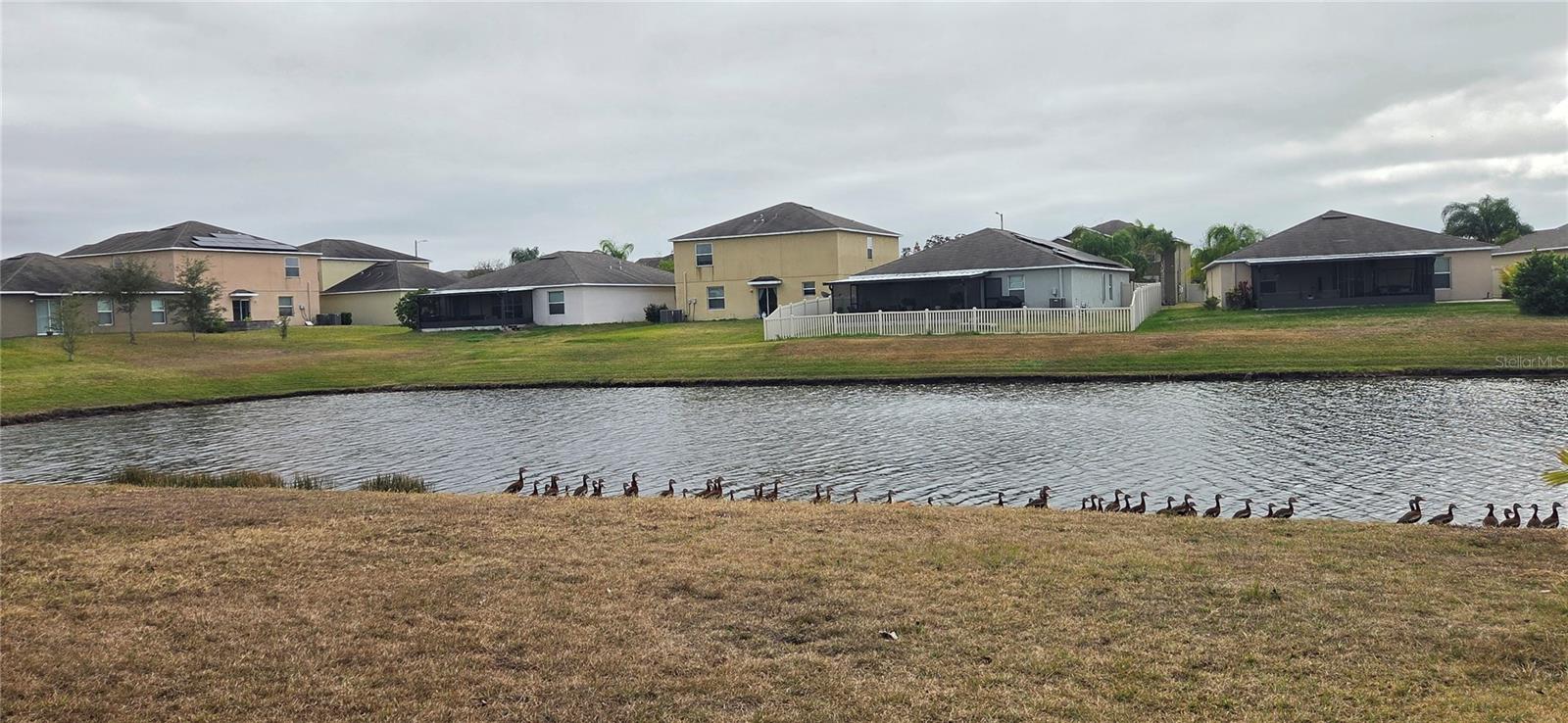 FERN HILL PH 1A - Residential